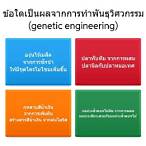 ข้อใดกล่าวถูกต้องเกี่ยวกับเทคนิคพันธุวิศวกรรม